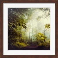 Glorious Woods Fine Art Print