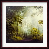 Glorious Woods Fine Art Print