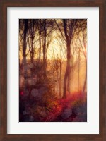 Seasons Light Fine Art Print