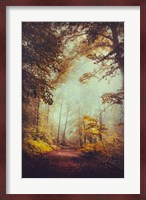 Silent Forest Fine Art Print