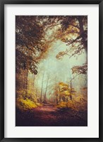 Silent Forest Fine Art Print