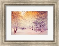 Snowy Sunrise Fine Art Print