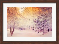 Snowy Sunrise Fine Art Print
