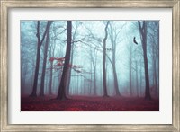 Solstice in Fog Fine Art Print