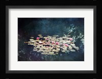 Waterlilies Fine Art Print