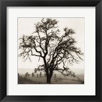 Country Oak Tree Fine Art Print