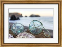 Crescent Beach Shells 16 Fine Art Print