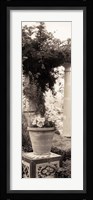 Jardin Botanico Fine Art Print