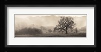 Meadow Oak Tree Fine Art Print