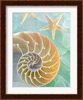 Seaglass 2 Fine Art Print