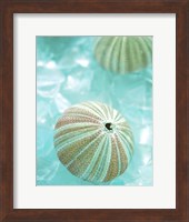 Seaglass 4 Fine Art Print