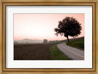 Toscana Valle No.1 Fine Art Print