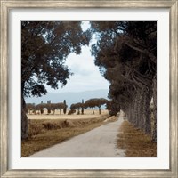 Tuscan Fatorria Strada No. 2 Fine Art Print