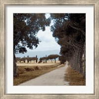 Tuscan Fatorria Strada No. 2 Fine Art Print