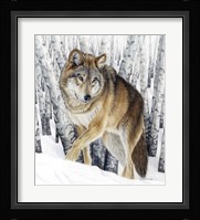 Silent Traveler Fine Art Print