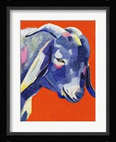Animal Party III Framed Print