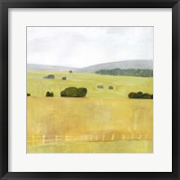 Soft Fieldscape I Framed Print