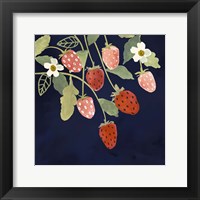 Fresh Fruit I Framed Print