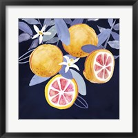Fresh Fruit III Fine Art Print