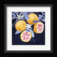 Fresh Fruit III Framed Print
