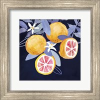 Fresh Fruit III Fine Art Print