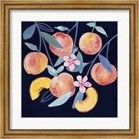 Fresh Fruit IV Fine Art Print