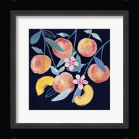Fresh Fruit IV Framed Print