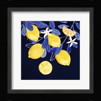 Fresh Fruit V Framed Print