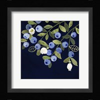Fresh Fruit VI Framed Print