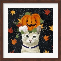 Halloween Cat I Fine Art Print