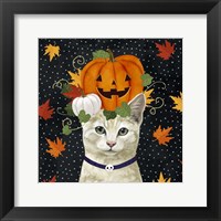 Halloween Cat I Framed Print