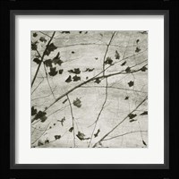 Laced Sky III Framed Print