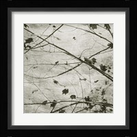 Laced Sky IV Framed Print