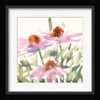 Daisy Garden Views I Framed Print