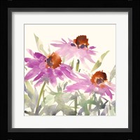 Daisy Garden Views II Framed Print