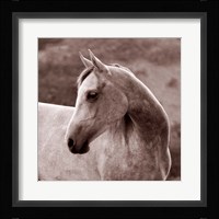 Tempest Fine Art Print