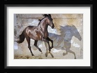 Shadow Fine Art Print