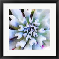 Succulente I Fine Art Print