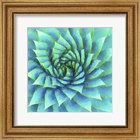 Succulente VI Fine Art Print