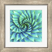 Succulente VI Fine Art Print