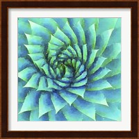Succulente VI Fine Art Print