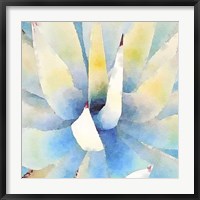 Succulente IX Fine Art Print