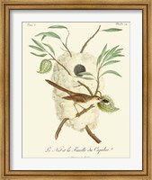Vintage French Birds VII Fine Art Print