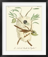 Vintage French Birds VII Fine Art Print