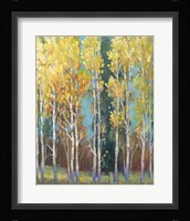 Aspen Grove I Fine Art Print