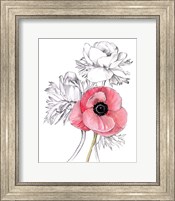 Anemone by Number I Fine Art Print
