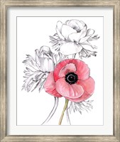 Anemone by Number I Fine Art Print