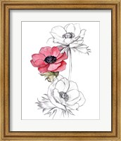 Anemone by Number II Fine Art Print