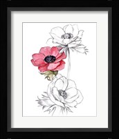 Anemone by Number II Framed Print