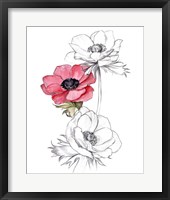 Anemone by Number II Framed Print